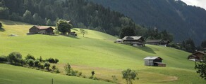 Париж - Гштад : оренда приватного літака 