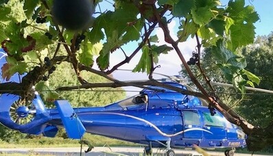 Гастрономічні пригоди на гелікоптері