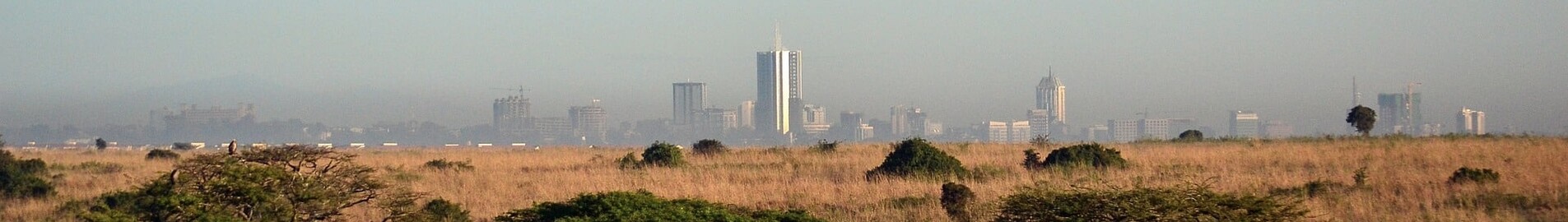 Найробі: оренда приватного літака 
