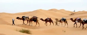 Туніс: оренда приватного літака