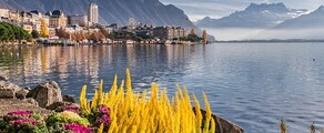 Гамбург - Женева : оренда приватного літака