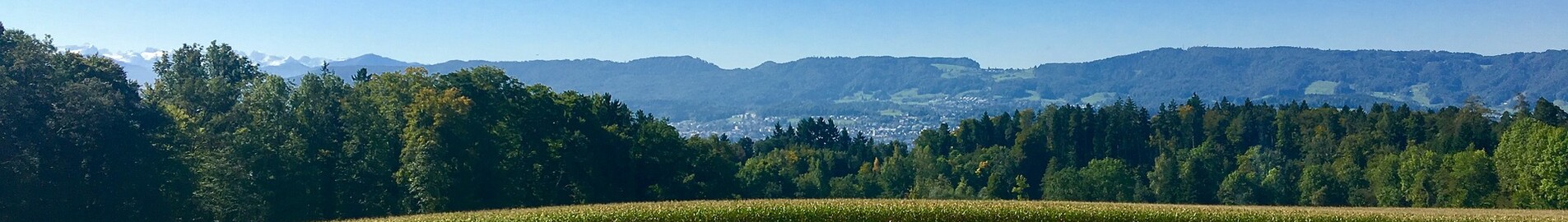 Дюбендорф: оренда приватних літаків 