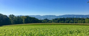 Дюбендорф: оренда приватних літаків 