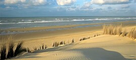 Клейне Брогель : оренда приватних літаків