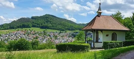 Кіль-Холтенау : оренда приватних літаків 