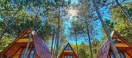 Мюнстер-Тельгте : оренда приватних літаків 