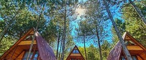 Менген Хохенген: оренда приватних літаків 