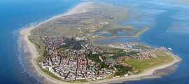 Тутов: оренда приватного літака 