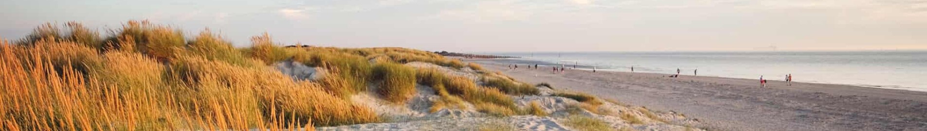 Wittering : оренда приватного літака 