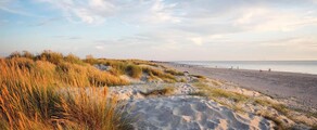 Wittering : оренда приватного літака 