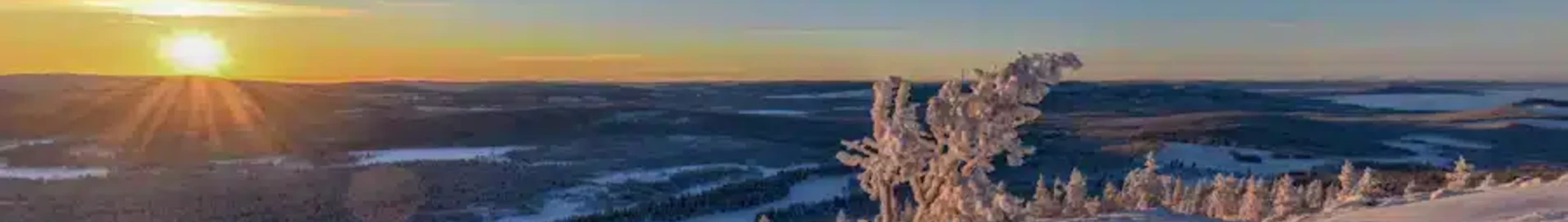 Арвідсьяур : оренда приватних літаків