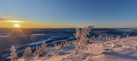 Карлсборг : оренда приватного літака