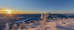 Арвідсьяур : оренда приватних літаків