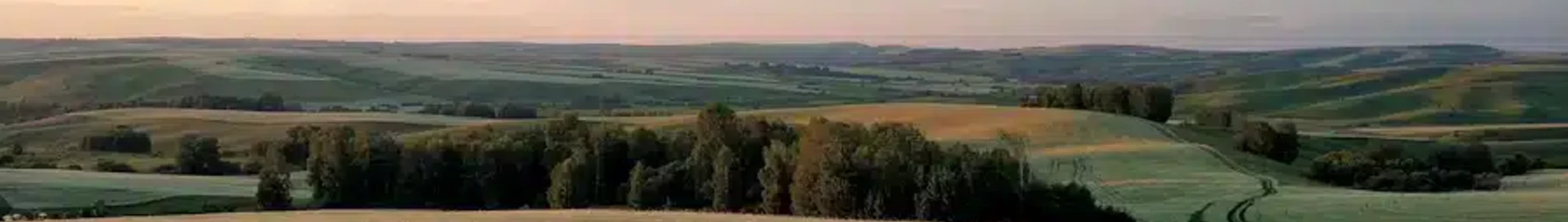 Барнаул : оренда приватного літака