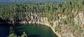Констанца Михайло Когалнічану: оренда приватного літака 