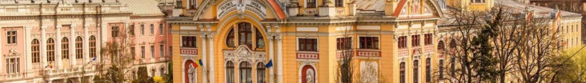 Клуж-Напока : оренда приватних літаків 
