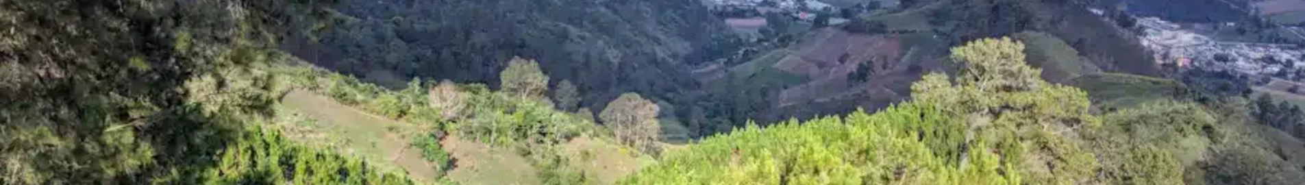 Констанца : оренда приватного літака