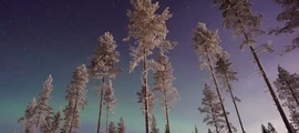 Jokkmokk : оренда приватного літака