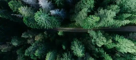 Боден Хеден : оренда приватних літаків