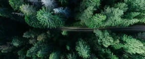 Гавле Сандвікен : оренда приватних літаків