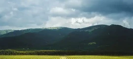 Курськ Східний : оренда приватного літака