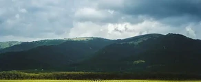 Геленджик : оренда приватного літака