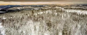 Хагфорс : оренда приватних літаків