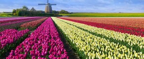 Hoogeveen : місцезнаходження приватного літака