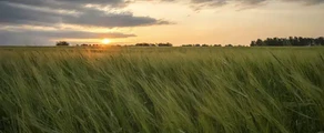 Кемерово : оренда приватного літака