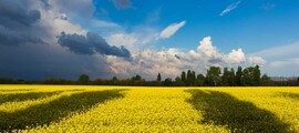 Івано-Франківськ : оренда приватного літака