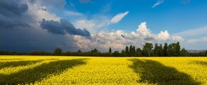 Хмельницький : оренда приватного літака