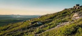 Содерхамн Хельсінг: оренда приватних літаків