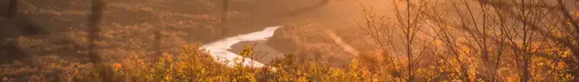 Курськ Східний : оренда приватного літака