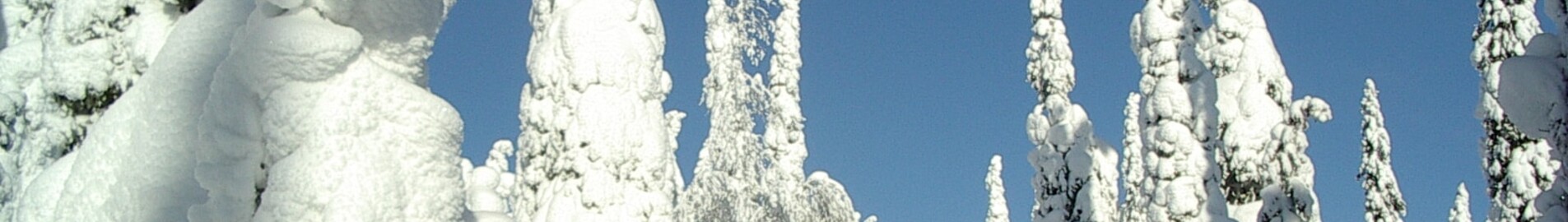 Куусамо : оренда приватного літака 