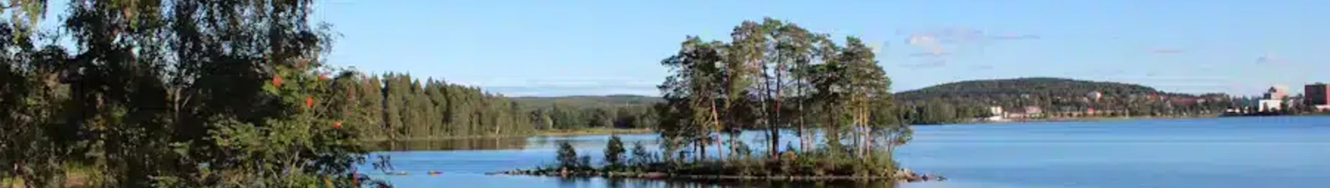 Ludvika: оренда приватного літака