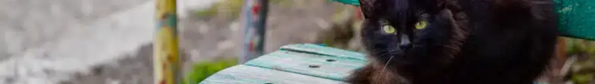 Нижньокамськ Бегішево : оренда приватного літака