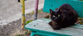 Абакан : оренда приватного літака 