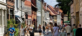Зондерборг : оренда приватних літаків 