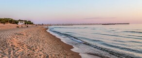 Паланга : оренда приватного літака 