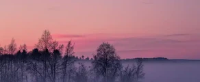 Pitea : оренда приватного літака