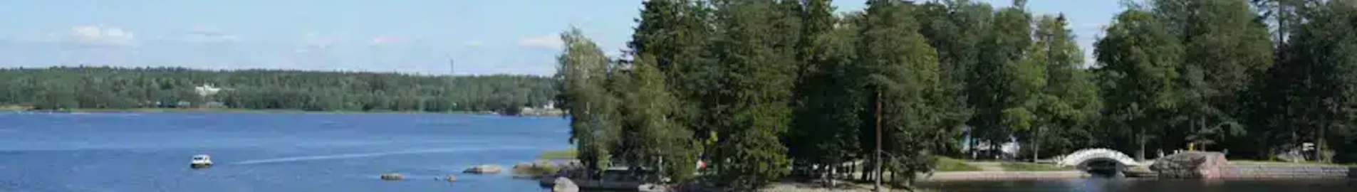 Платов: оренда приватного літака