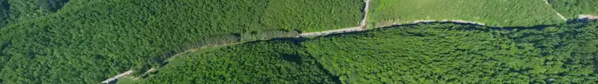 Приштина : оренда приватного літака