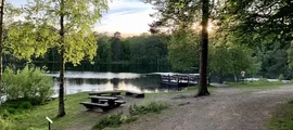 Ludvika: оренда приватного літака