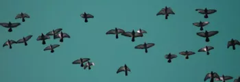 Aalborg : location de jet privé