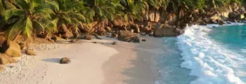 réserver-jet-privé-espagne