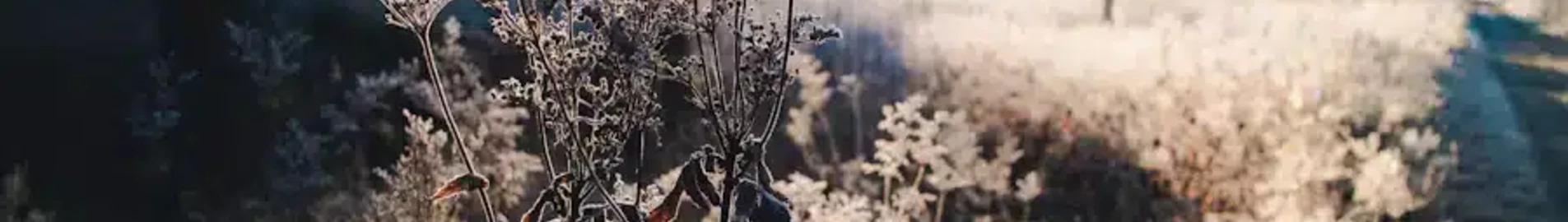 Содерхамн Хельсінг: оренда приватних літаків