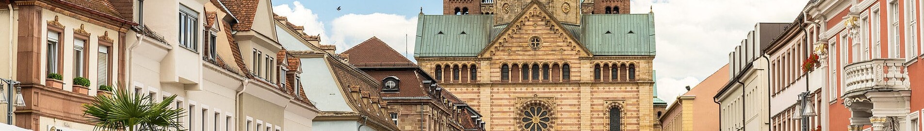 Speyer : оренда приватного літака