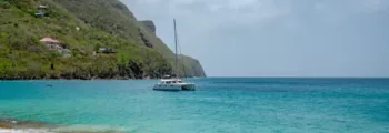 tunisie désert chameaux