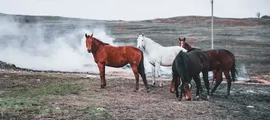 Москва Внуково: оренда приватного літака 