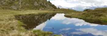 Belluno : location de jet privé